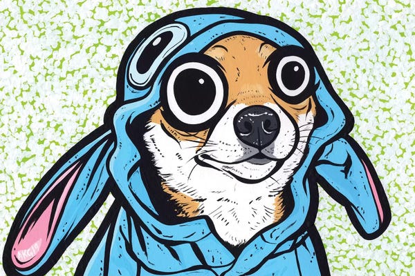 Shiba Inus: Shiba Inu Puppy by Allyson Gutchell