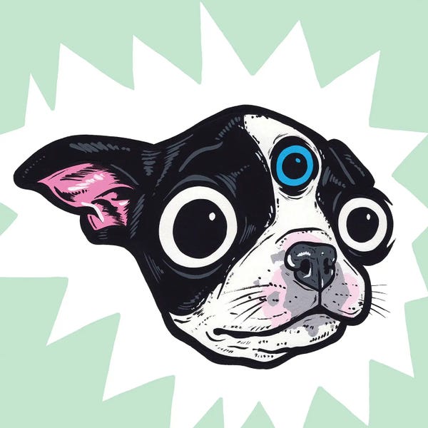 Boston Terriers: 3rd Eye Boston Terrier by Allyson Gutchell