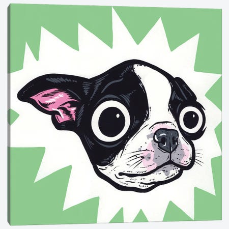 Boston Terrier Pup Canvas Print #AGU176} by Allyson Gutchell Canvas Artwork