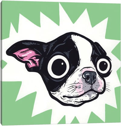 Boston Terrier Pup Canvas Art Print - Boston Terrier Art