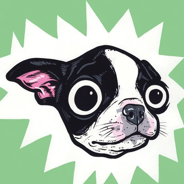 Boston Terriers: Boston Terrier Pup by Allyson Gutchell