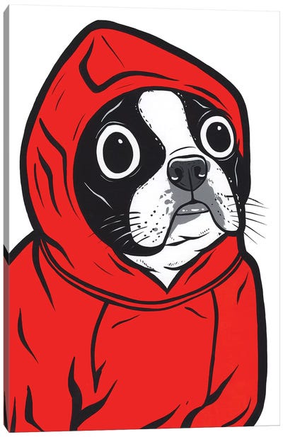 Boston Terrier Hoodie Canvas Art Print - Allyson Gutchell