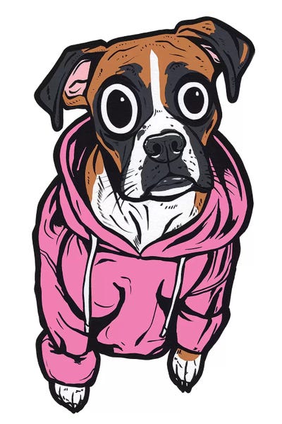 Boxers: Boxer Hoodie by Allyson Gutchell
