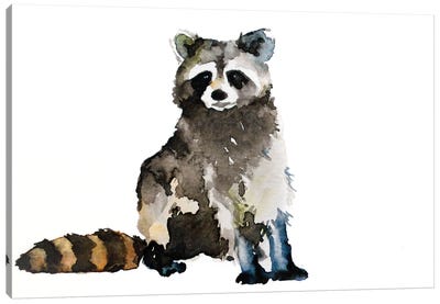 Raccoon Canvas Art Print - Raccoon Art