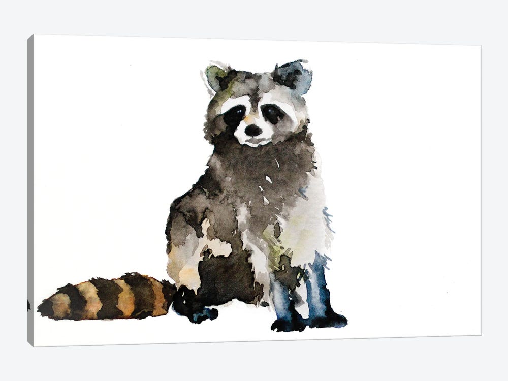 Raccoon by Allison Gray 1-piece Canvas Print