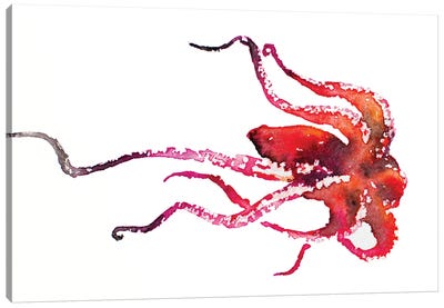 Red Octopus Canvas Art Print - Allison Gray
