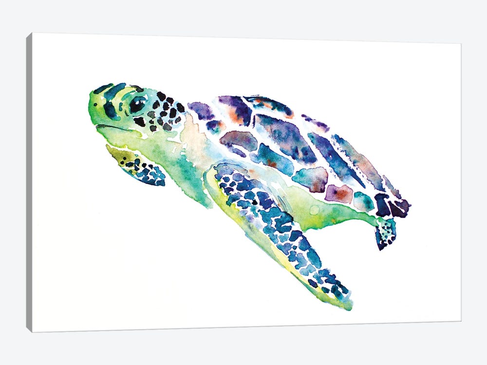 Sea Turtle by Allison Gray 1-piece Canvas Print