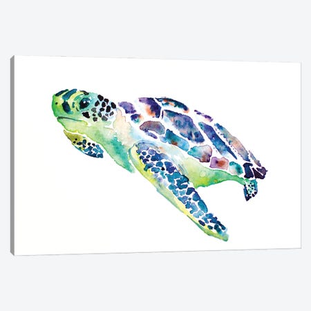 Sea Turtle Canvas Print #AGY111} by Allison Gray Canvas Art Print
