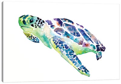Sea Turtle Canvas Art Print - Allison Gray