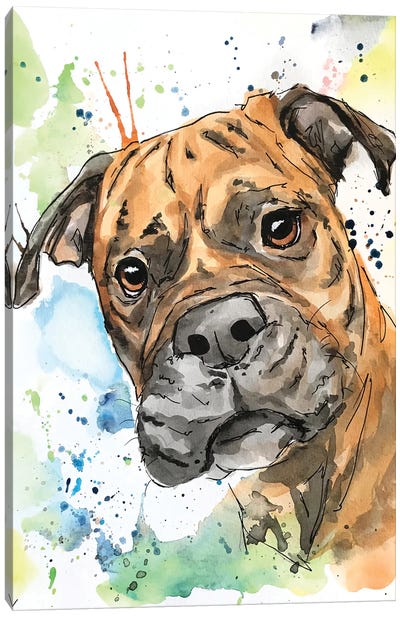 The Brindle Boxer Canvas Art Print - Allison Gray