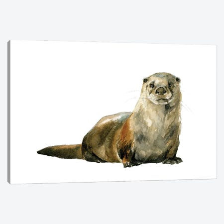 River Otter Canvas Print #AGY141} by Allison Gray Canvas Wall Art