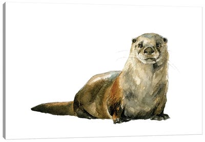 River Otter Canvas Art Print - Allison Gray