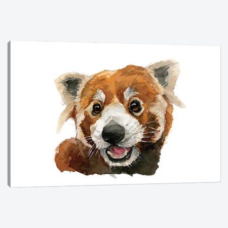 Smiling Red Panda Canvas Print #AGY142} by Allison Gray Canvas Wall Art