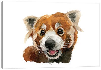 Smiling Red Panda Canvas Art Print - Red Panda