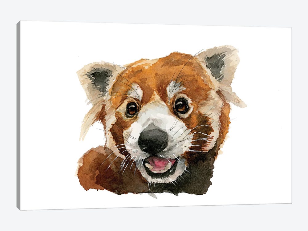 Smiling Red Panda by Allison Gray 1-piece Art Print