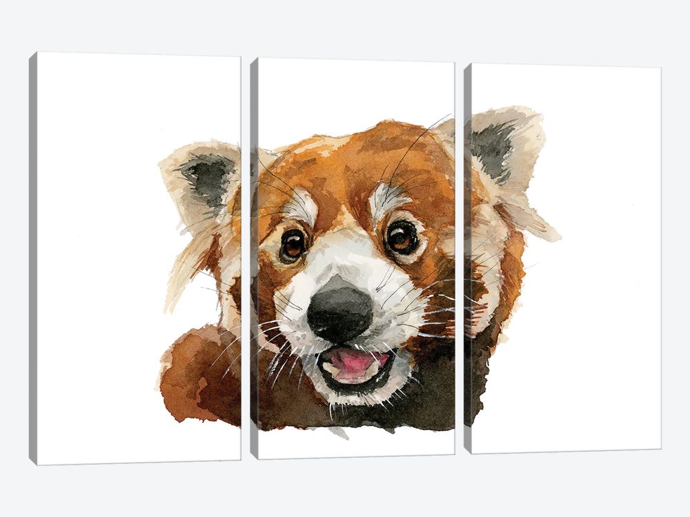 Smiling Red Panda by Allison Gray 3-piece Canvas Art Print