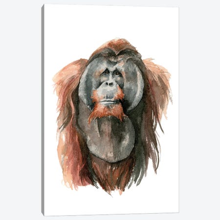 Orangutan Canvas Print #AGY144} by Allison Gray Canvas Print