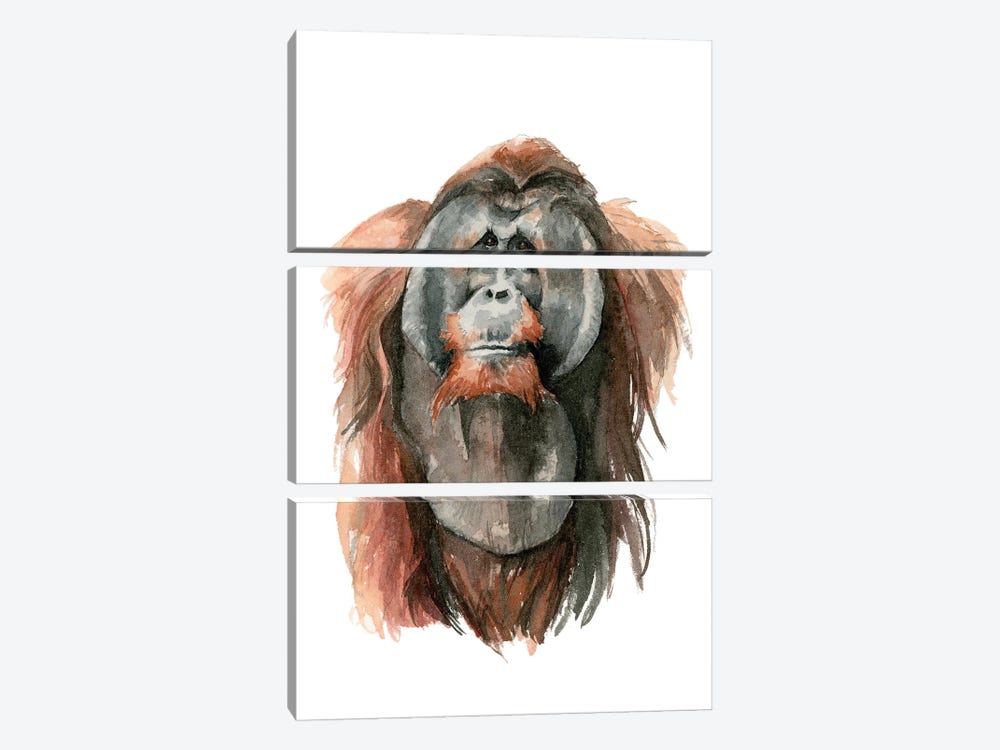 Orangutan by Allison Gray 3-piece Art Print