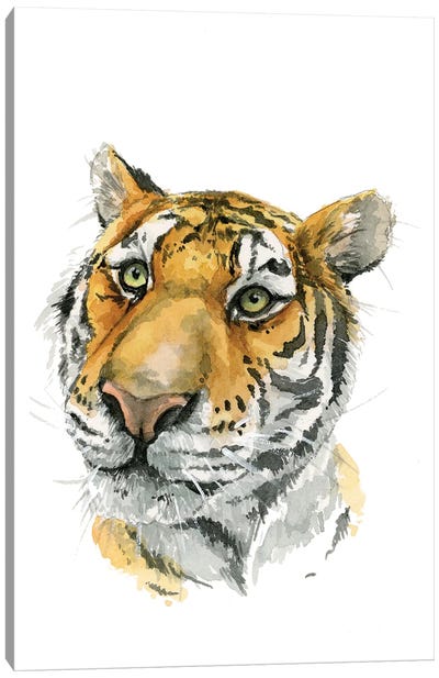 Amur Tiger Canvas Art Print