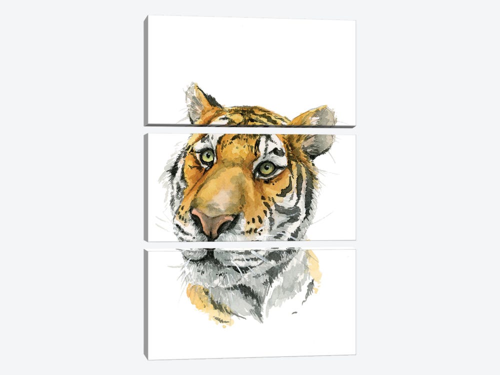 Amur Tiger by Allison Gray 3-piece Canvas Art