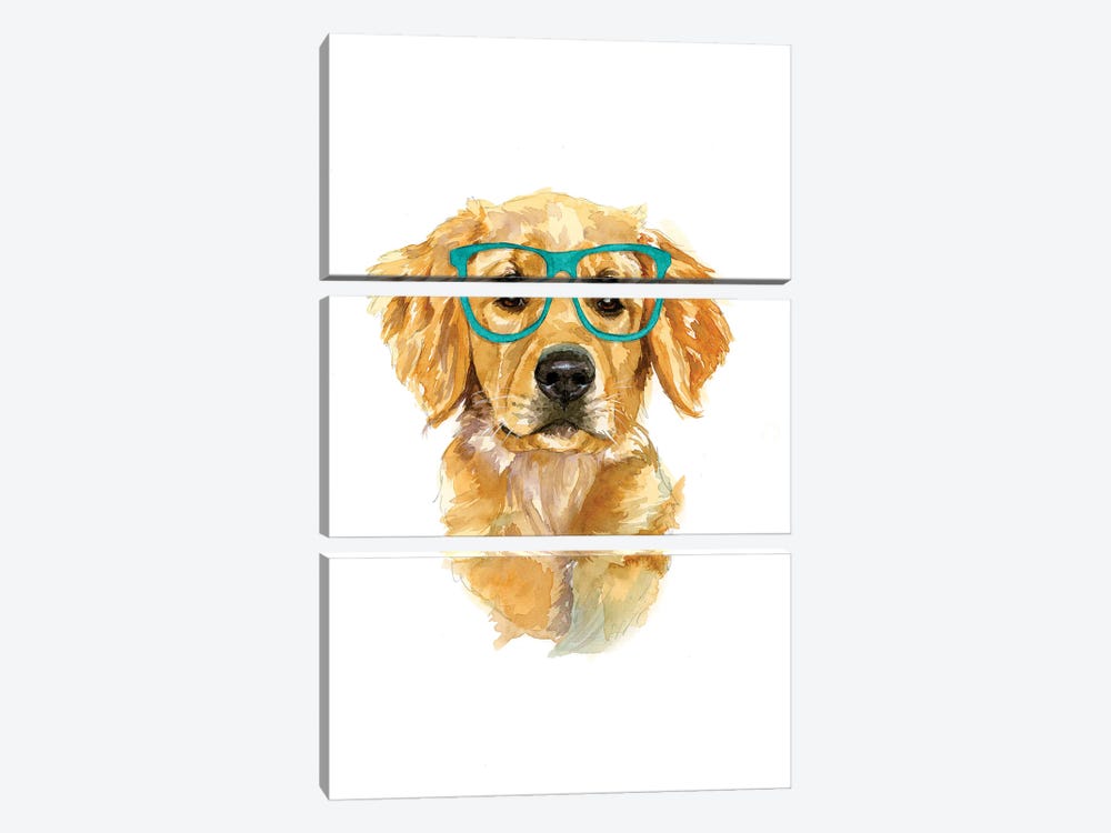 Golden Retriever In Glasses by Allison Gray 3-piece Canvas Print
