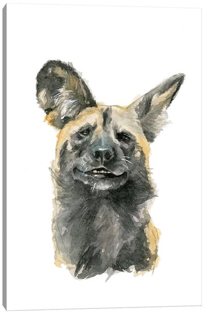 African Dog Canvas Art Print