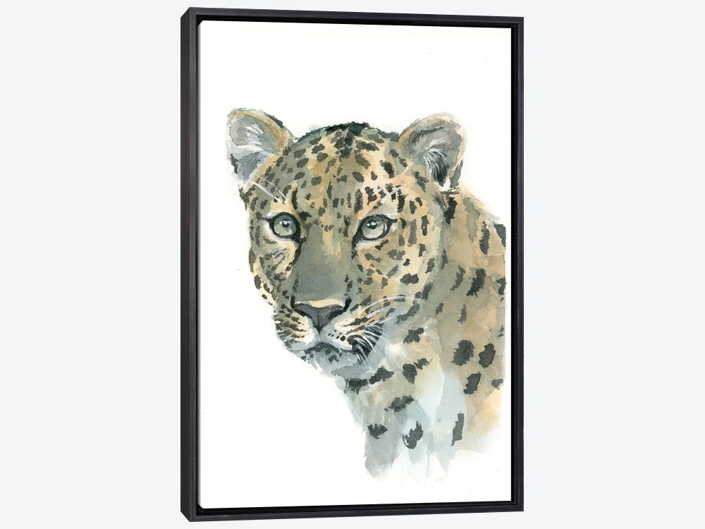 Amur Leopard Canvas Print by Allison Gray
