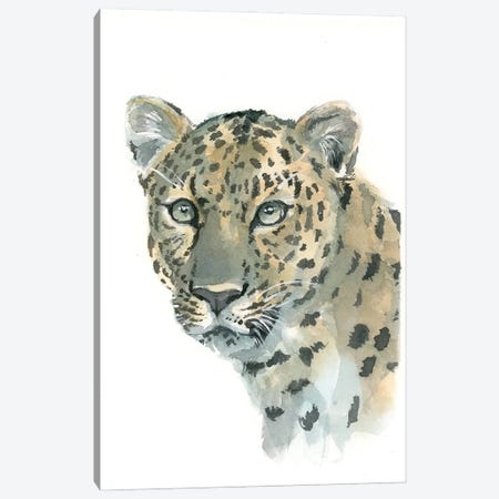 Amur Leopard Canvas Print #AGY148} by Allison Gray Canvas Artwork