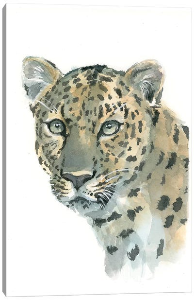 Amur Leopard Canvas Art Print
