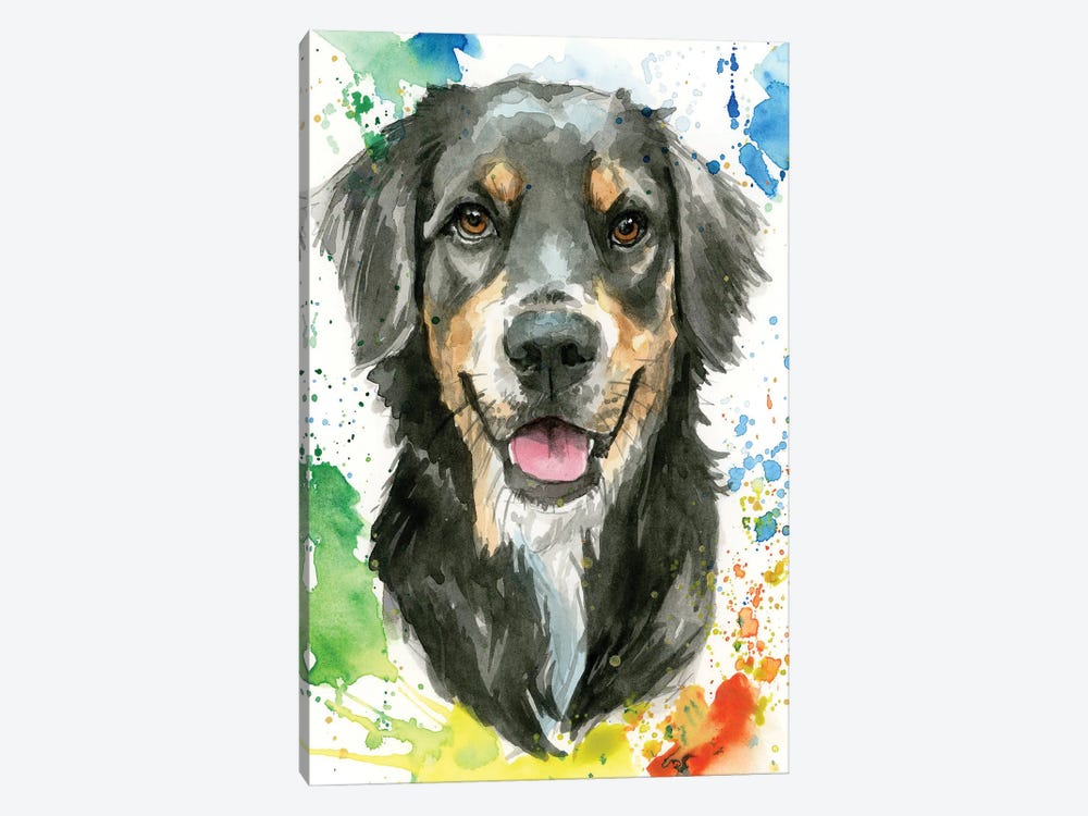 Bernese Mountain Dog by Allison Gray 1-piece Canvas Wall Art