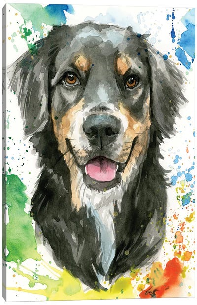 Bernese Mountain Dog Canvas Art Print - Bernese Mountain Dog Art