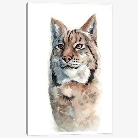 Canadian Lynx Canvas Print #AGY150} by Allison Gray Canvas Print