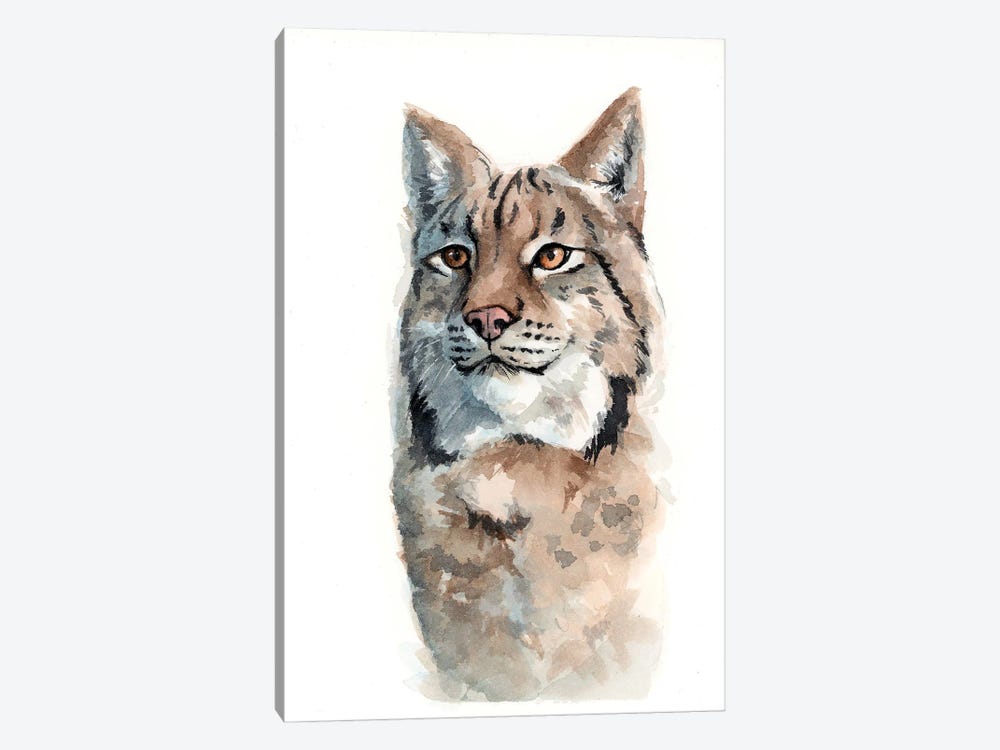 Canadian Lynx by Allison Gray 1-piece Canvas Wall Art