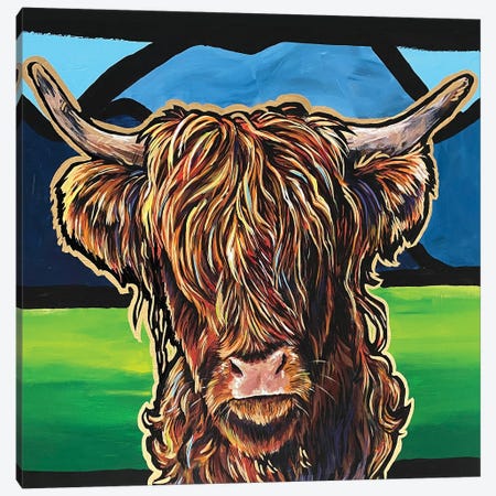 Highland Cow Canvas Print #AGY152} by Allison Gray Canvas Print