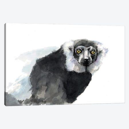 Lemur Canvas Print #AGY154} by Allison Gray Canvas Wall Art