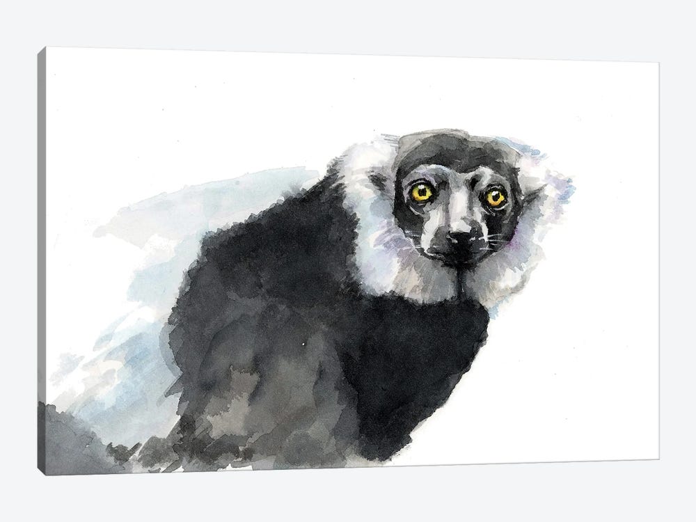 Lemur by Allison Gray 1-piece Canvas Wall Art