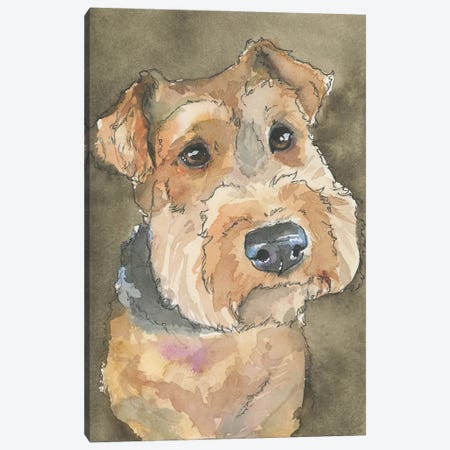 Airedale Terrier Canvas Print #AGY158} by Allison Gray Art Print