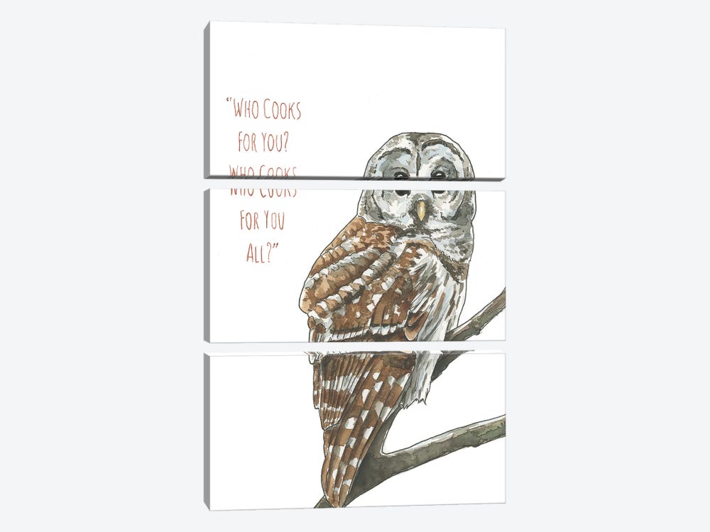 Barred Owl Hoot by Allison Gray 3-piece Art Print