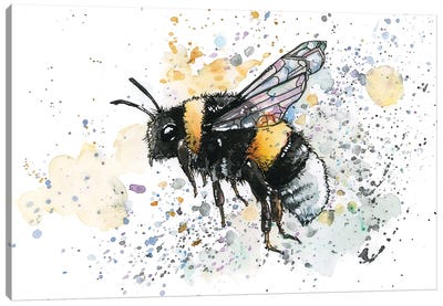 Bumblebee Canvas Art Print - Allison Gray