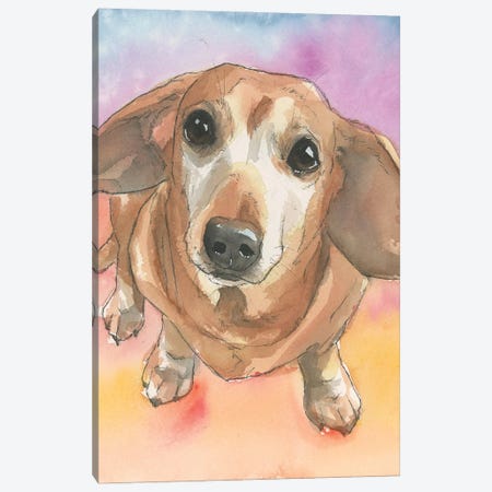 Dachshund In The Sunset Canvas Print #AGY165} by Allison Gray Canvas Art Print