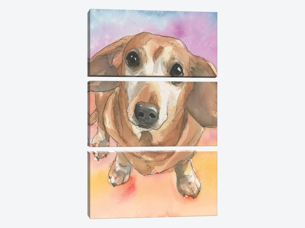Dachshund In The Sunset by Allison Gray 3-piece Canvas Art