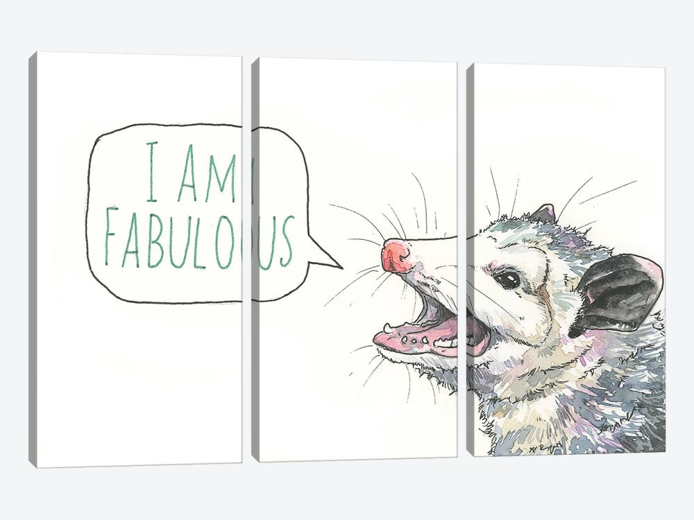 Fabulous Opossum by Allison Gray 3-piece Canvas Artwork