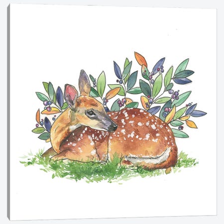 Fawn In The Grass Canvas Print #AGY168} by Allison Gray Canvas Wall Art