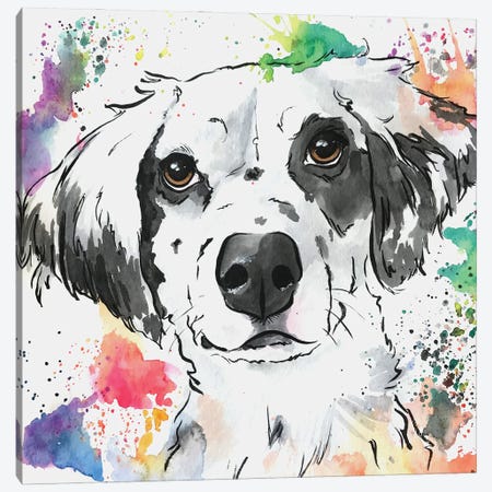 Brilliant Spaniel Mix Dog Canvas Print #AGY16} by Allison Gray Canvas Art Print