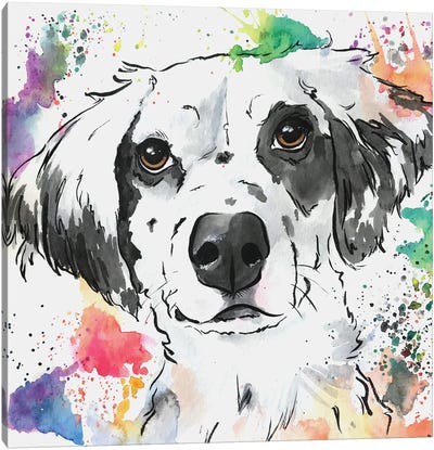 Brilliant Spaniel Mix Dog Canvas Art Print - Allison Gray