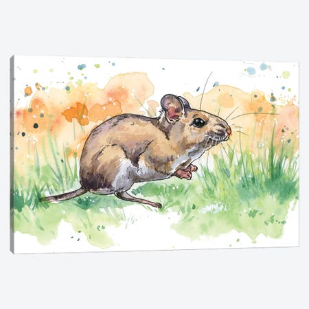 Field Mouse Canvas Print #AGY170} by Allison Gray Canvas Art Print