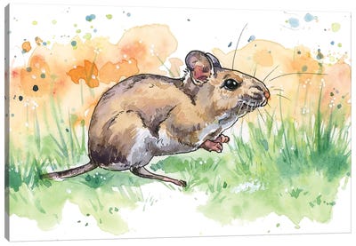 Field Mouse Canvas Art Print - Allison Gray