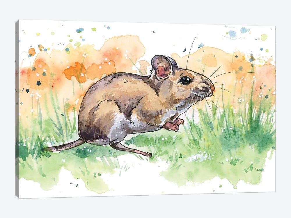 Field Mouse by Allison Gray 1-piece Canvas Wall Art