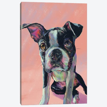 For The Love Of Boston Terrier Canvas Print #AGY171} by Allison Gray Canvas Art Print
