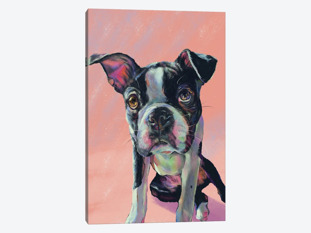 For The Love Of Boston Terrier by Allison Gray 1-piece Art Print